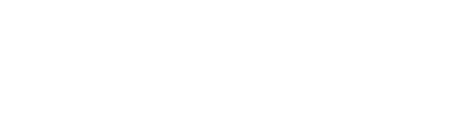 Revolution